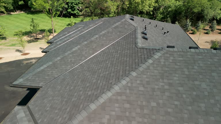 Best Chimney Flashing Repair  in Oral City, FL