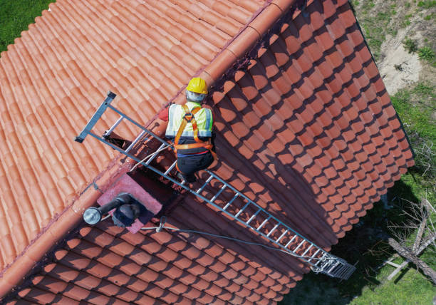 Best Roof Ventilation Installation  in Oral City, FL